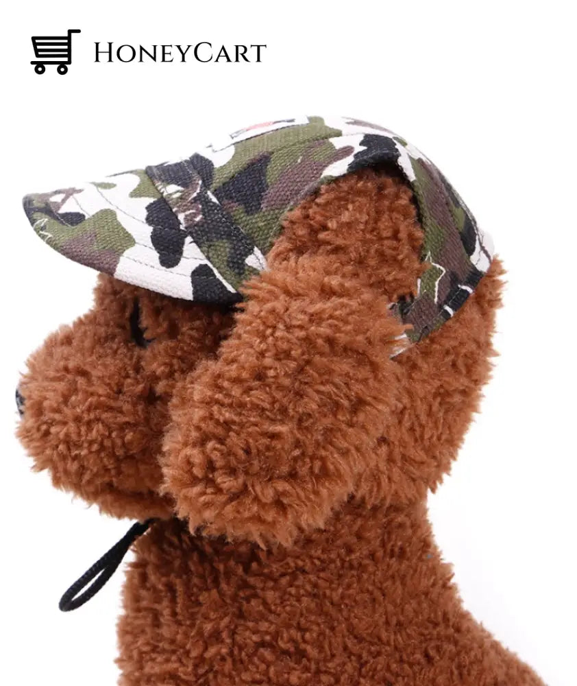 Outdoor Dog Hat