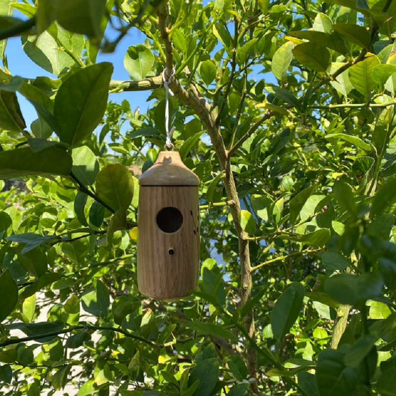 Wooden Hummingbird House - Gift for Natural Lovers