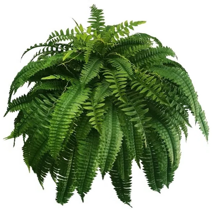 UV Resistant Lifelike Artificial Boston Fern For Outdoors