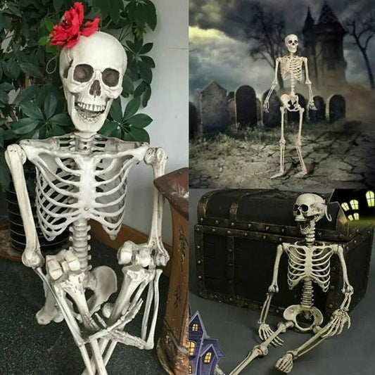 Poseable Skeleton - Creepy Halloween Decor