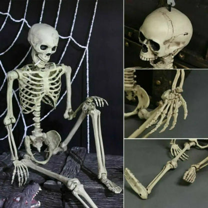 Poseable Skeleton - Creepy Halloween Decor