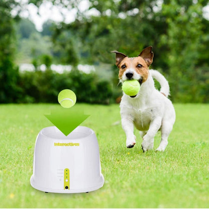 Automatic Tennis Ball Launcher, Dog Training Toy