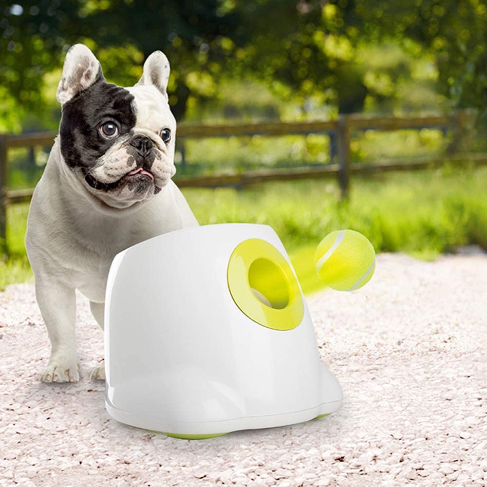 Automatic Tennis Ball Launcher, Dog Training Toy