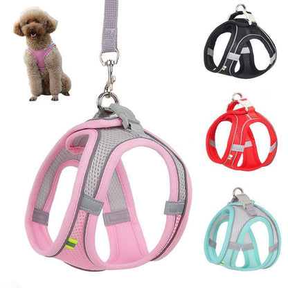 Adjustable Harness and Leash Set for Small Dogs and Cats