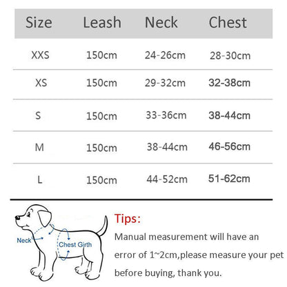 Adjustable Harness and Leash Set for Small Dogs and Cats