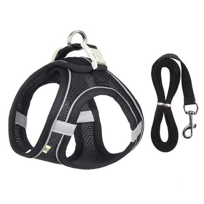 Adjustable Harness and Leash Set for Small Dogs and Cats