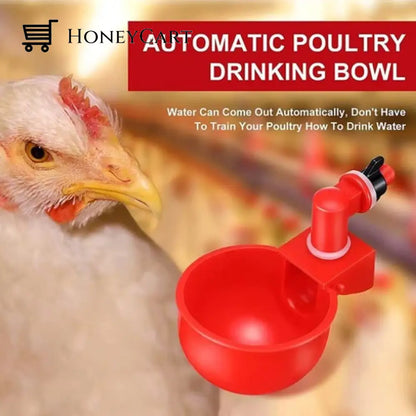 Sale 80% Off Automatic Chicken Water Cup Waterer Kit For Poultry