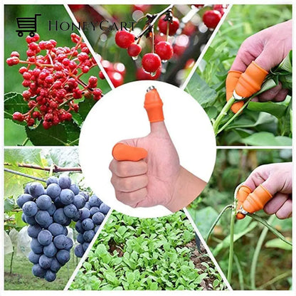 Silicone Finger Protector With Blade For Fruits