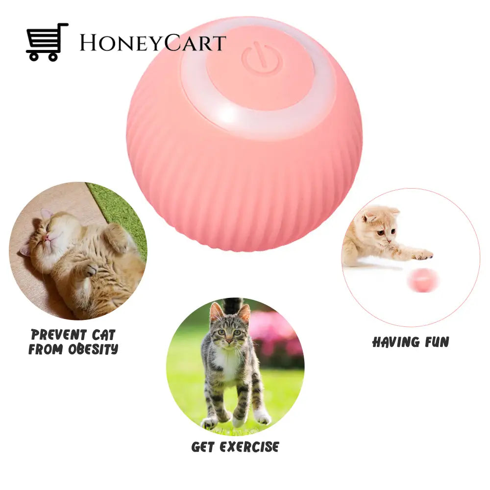 Smart Cat Toys Automatic Rolling Ball(Buy 2 Get Free Shipping)