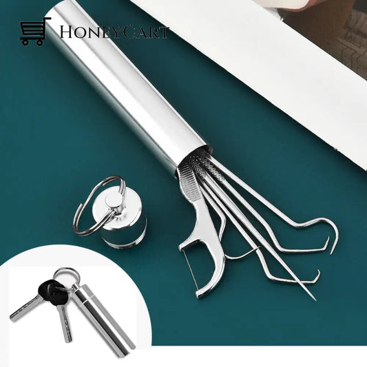 Stainless Steel Toothpick Set