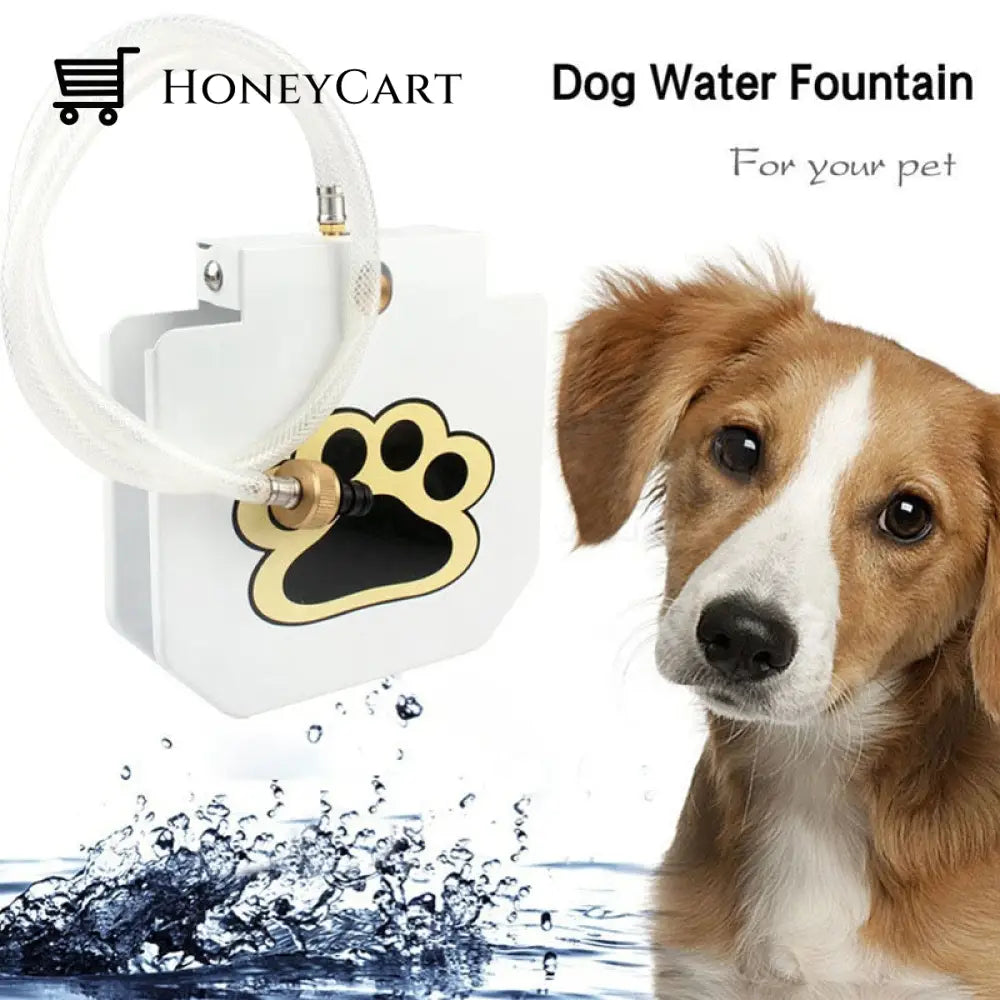 Step-On Dog Fountain