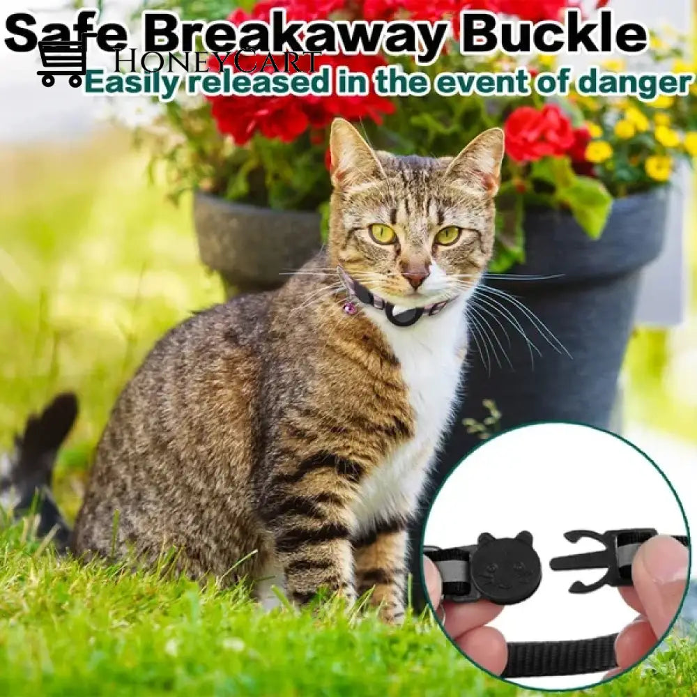 The Airtag Collar Tool