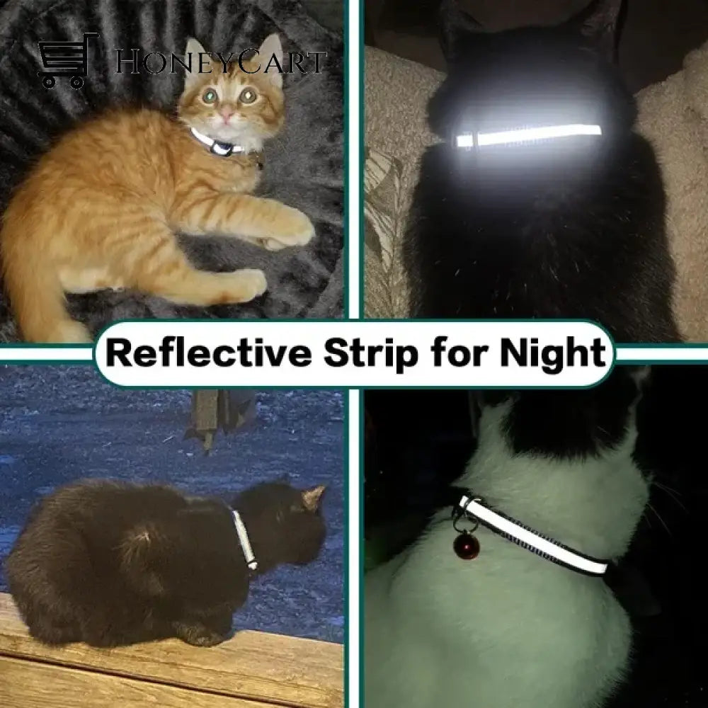 The Airtag Collar Tool