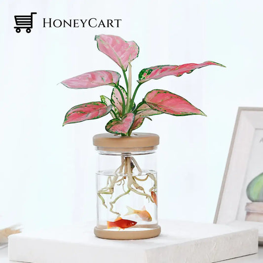 Transparent Hydroponic Flower Pot