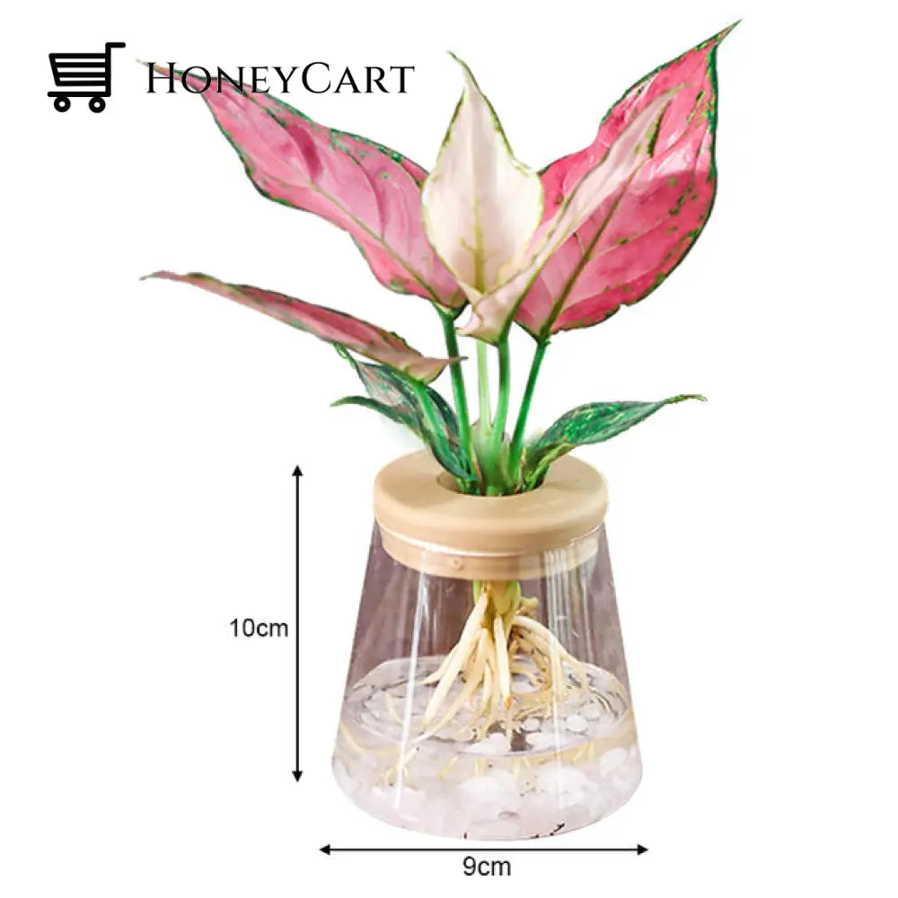 Transparent Hydroponic Flower Pot Cone