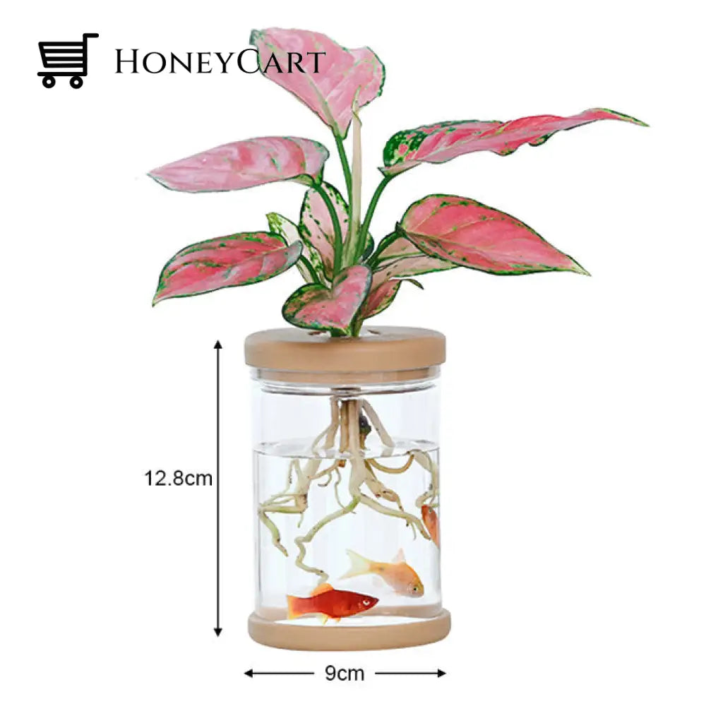 Transparent Hydroponic Flower Pot L
