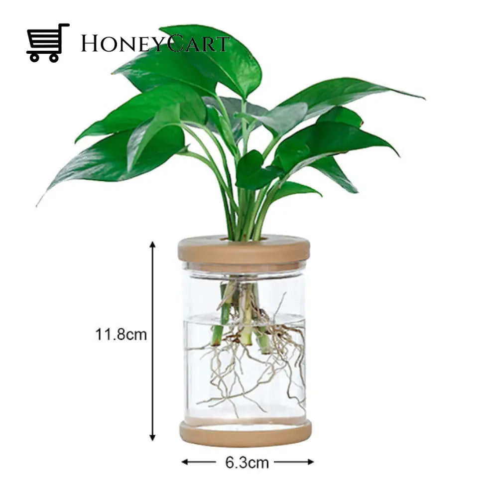 Transparent Hydroponic Flower Pot S