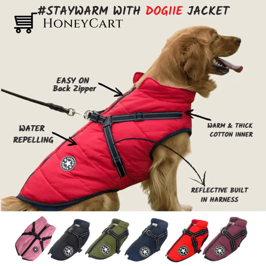 Waterproof Winter Jacket With Built In Harness Red / S Tool