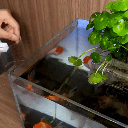 Aquarium Transparent Suction Fish Feeder